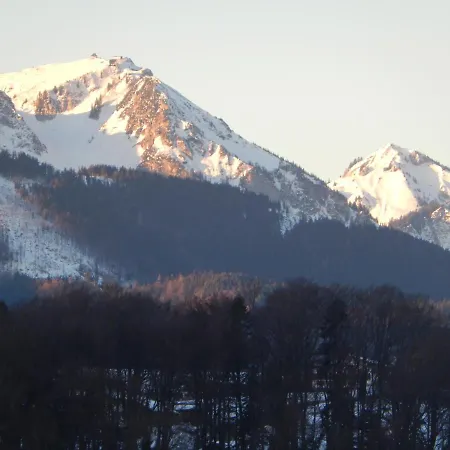 Chalet Private Luxury Siegsdorf